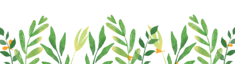 ͼƬ